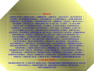 BAGs
ABACATE - ABACAXI – ABRICÓ – ADLEY - ALFACE - ALGODÃO ALHO - ALSTROEMERIA - AMARILIS – AMÊNDOA - AMENDOIM AMEIXA - ANTÚRIO – AROMÁTICAS - ARROZ - AVEIA - BANANA BAMBÚ - BATATA – BRÁSSICAS - CACAU - CAFÉ - CANA-DEAÇÚCAR - CAPIM-GUINÉ - CAQUI - CASTANHA–JAPONESA CEBOLA - CENTEIO - CENOURA - CEVADA - CITROS - COUVE –
CUCURBITACEAE - - DAMASCO JAPONÊS (UMÊ) - ERVILHA FEIJÃO - FEIJÕES ADZUKI & MUNGO - FEIJÃO VAGEM - FIBROSAS
DIVERSAS – FIGO - FRUTAS NATIVAS - FRUTAS EXÓTICAS - GENGIBRE - GERGELIM - GIRASSOL - GLADÍOLO - GOIABA GRÃO-DE-BICO - GUARANÁ - HELICÔNIA - LEGUMINOSAS LENTILHA - MACADÂMIA - MAÇÃ - MAMÃO – MAMONA MANDIOCA - MANGA - MARACUJÁ - MARMELO - MEDICINAIS MILHO-PIPOCA - MILHO – MILHETO - MORANGO - NECTARINA NÊSPERA - ORNAMENTAIS ARBÓREAS - ORNAMENTAIS
HERBÁCEAS - PECÃ - PEPINO - PALMEIRAS - PALMITOS - PÊRA PÊSSEGO - PIMENTA - PIMENTÃO - PINHÃO -QUIABO – RAMI SERINGUEIRA - SOJA - SORGO - TOMATE - TUBEROSAS DIVERSAS TRIGO - TRITICALE - URUCUM - VIDEIRA - ZINGIBERALES

COLEÇÕES
HERBÁRIO PL. VASCULARES IAC - HERBÁRIO MICOLÓGICO IACM
– MICOTECA - RHIZOBIUM -RIZOBACTÉRIA - FUNGOS
MICORRÍZICOS

 