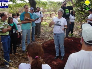 Contribuição do jbiac 2009