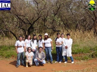 Contribuição do jbiac 2009