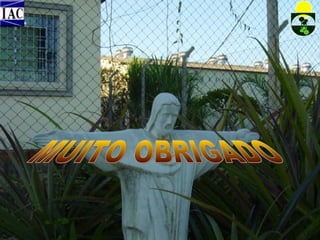 Contribuição do jbiac 2009