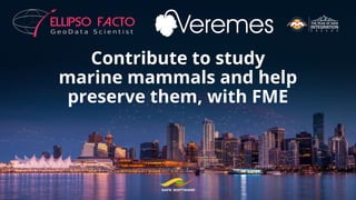 Contribute to study
marine mammals and help
preserve them, with FME
 