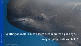 Contribute to Study Marine Mammals and Help Preserve them, with FME