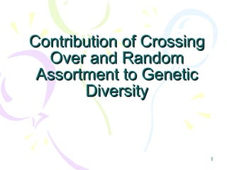 Contribution of Crossing Over and Random Assortment to Genetic Diversity 