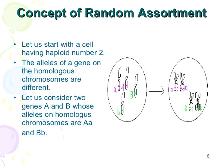 Contribution of crossing over and random assortment to