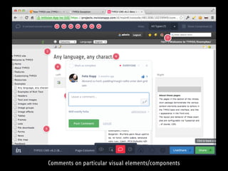 Comments on particular visual elements/components
 