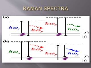 Contributions of sir c