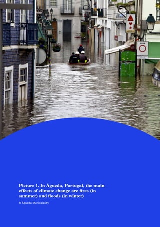 xii
Picture 1. In Águeda, Portugal, the main
effects of climate change are fires (in
summer) and floods (in winter)
© Águeda Municipality
 