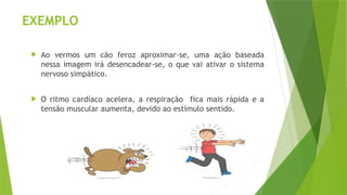 EXEMPLO
 Ao vermos um cão feroz aproximar-se, uma ação baseada
nessa imagem irá desencadear-se, o que vai ativar o sistema
nervoso simpático.
 O ritmo cardíaco acelera, a respiração fica mais rápida e a
tensão muscular aumenta, devido ao estímulo sentido.
 