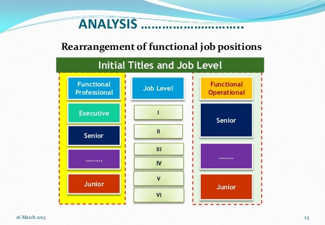 executive career level under fontanacountryinn com executive career level