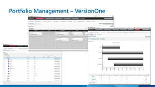 Portfolio Management – VersionOne 
 