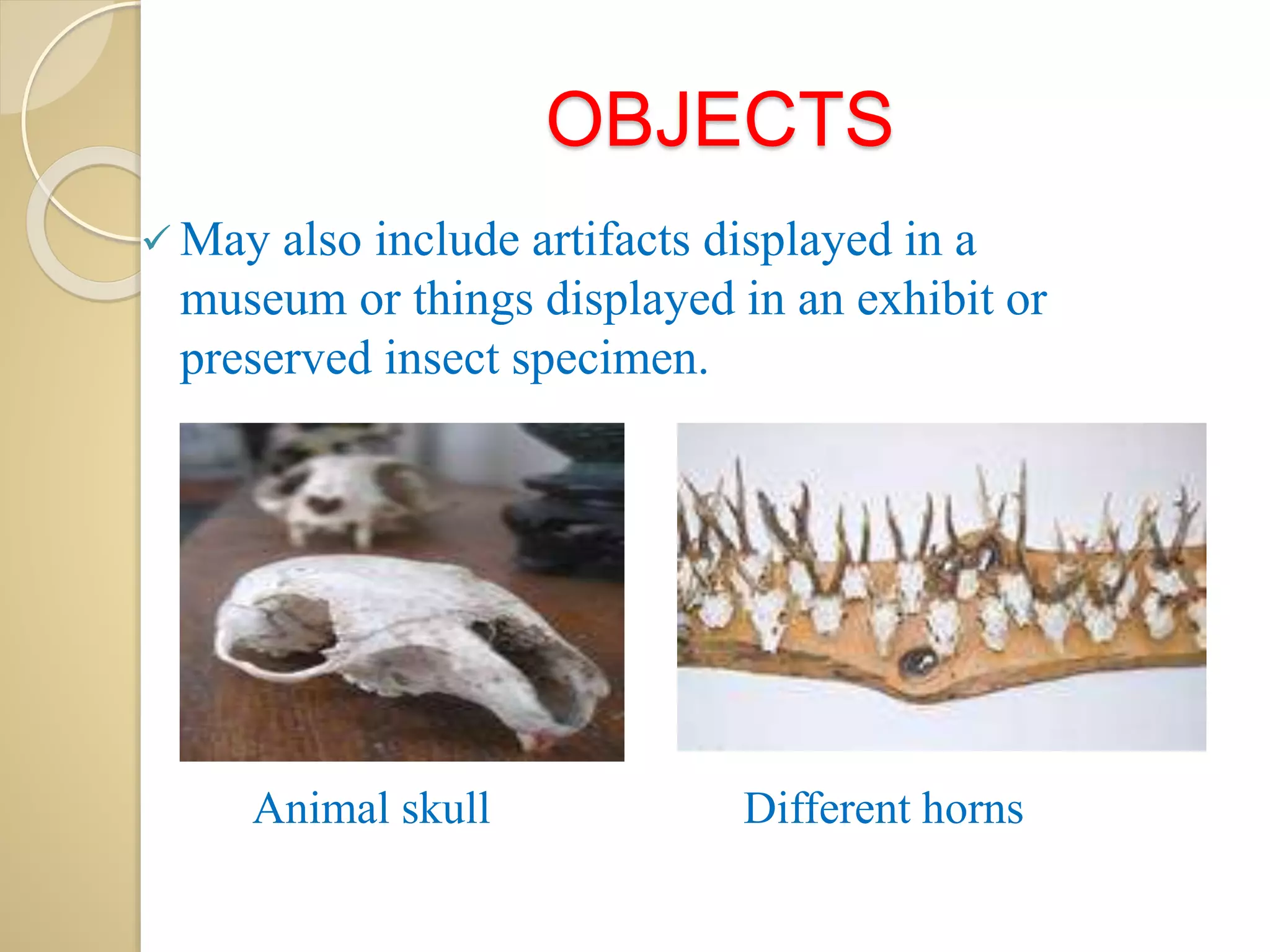 OBJECTS
 May also include artifacts displayed in a
museum or things displayed in an exhibit or
preserved insect specimen.
Animal skull Different horns
 