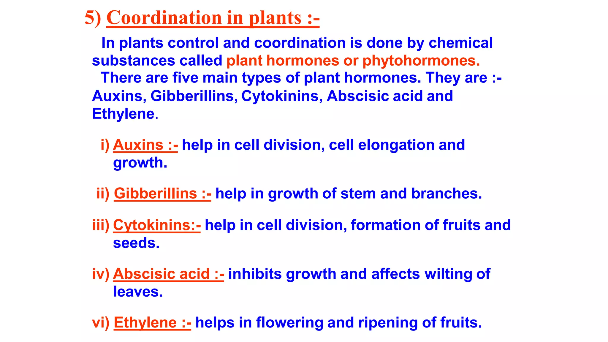 5) Coordination in plants :-
In plants control and coordination is done by chemical
substances called plant hormones or phytohormones.
There are five main types of plant hormones. They are :-
Auxins, Gibberillins, Cytokinins, Abscisic acid and
Ethylene.
i) Auxins :- help in cell division, cell elongation and
growth.
ii) Gibberillins :- help in growth of stem and branches.
iii) Cytokinins:- help in cell division, formation of fruits and
seeds.
iv) Abscisic acid :- inhibits growth and affects wilting of
leaves.
vi) Ethylene :- helps in flowering and ripening of fruits.
 