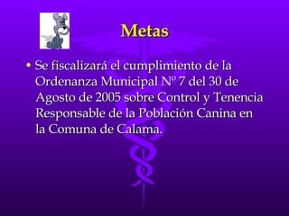 Metas Se fiscalizará el cumplimiento de la Ordenanza Municipal Nº 7 del 30 de Agosto de 2005 sobre Control y Tenencia Responsable de la Población Canina en la Comuna de Calama. 