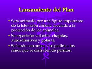 Lanzamiento del Plan <ul><li>Será animado por una figura importante de la televisión chilena asociado a la protección de l...
