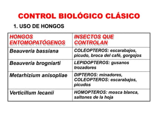 Manejo y Control integral de Plagas.pptx