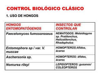 Manejo y Control integral de Plagas.pptx