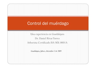 Una experiencia en Guadalajara
Dr. Daniel RivasTorres
Arborista Certificado ISA MX-0001A
Control del muérdago
Guadalajara, Jalisco, diciembre 5 de 2009
 