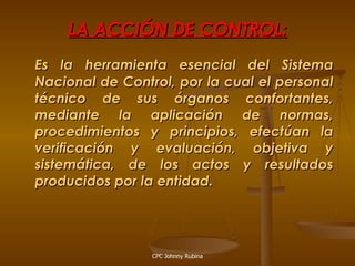 Control Gubernamental | PDF