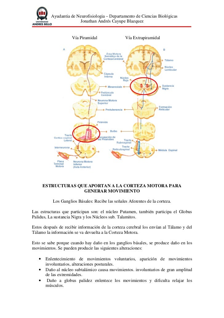 Control Motor