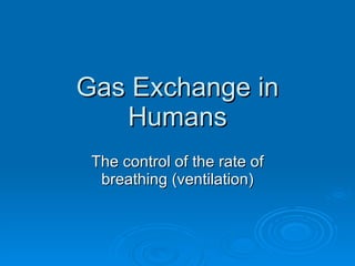 Gas Exchange in Humans The control of the rate of breathing (ventilation) 