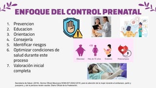 Comprehensive Guide to Prenatal Care: Standards and Practices for ...