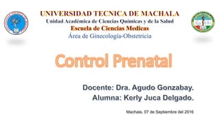 Área de Ginecología-Obstetricia
Machala, 07 de Septiembre del 2016
 