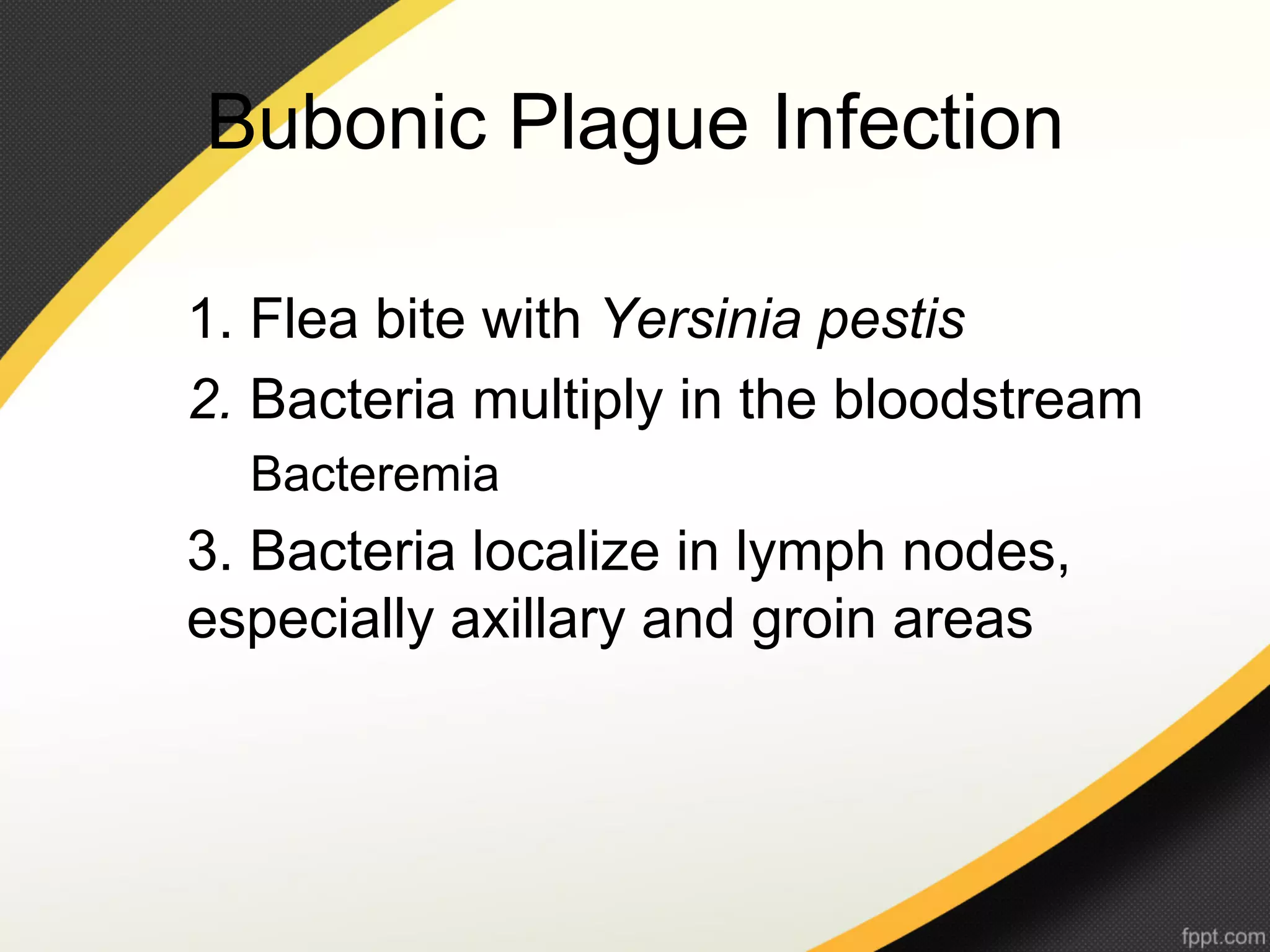 Bubonic Plague Infection

1. Flea bite with Yersinia pestis
2. Bacteria multiply in the bloodstream
  Bacteremia
3. Bacteria localize in lymph nodes,
especially axillary and groin areas
 