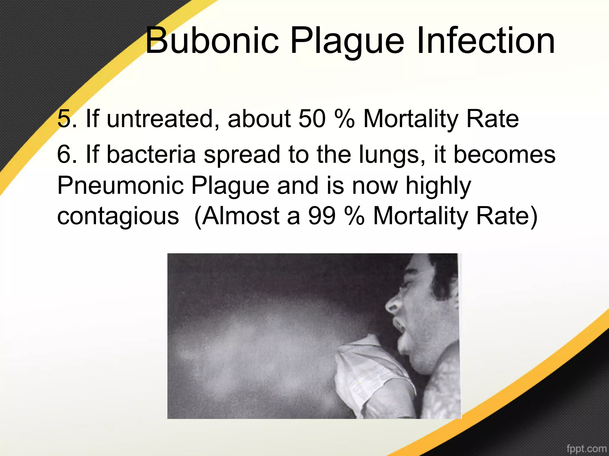Bubonic Plague Infection
5. If untreated, about 50 % Mortality Rate
6. If bacteria spread to the lungs, it becomes
Pneumonic Plague and is now highly
contagious (Almost a 99 % Mortality Rate)
 