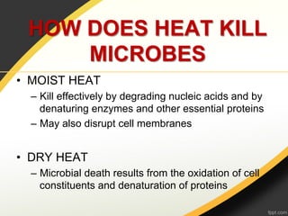HOW DOES HEAT KILL
     MICROBES
•  MOIST HEAT
  –  Kill effectively by degrading nucleic acids and by
     denaturing enzymes and other essential proteins
  –  May also disrupt cell membranes


•  DRY HEAT
  –  Microbial death results from the oxidation of cell
     constituents and denaturation of proteins
 