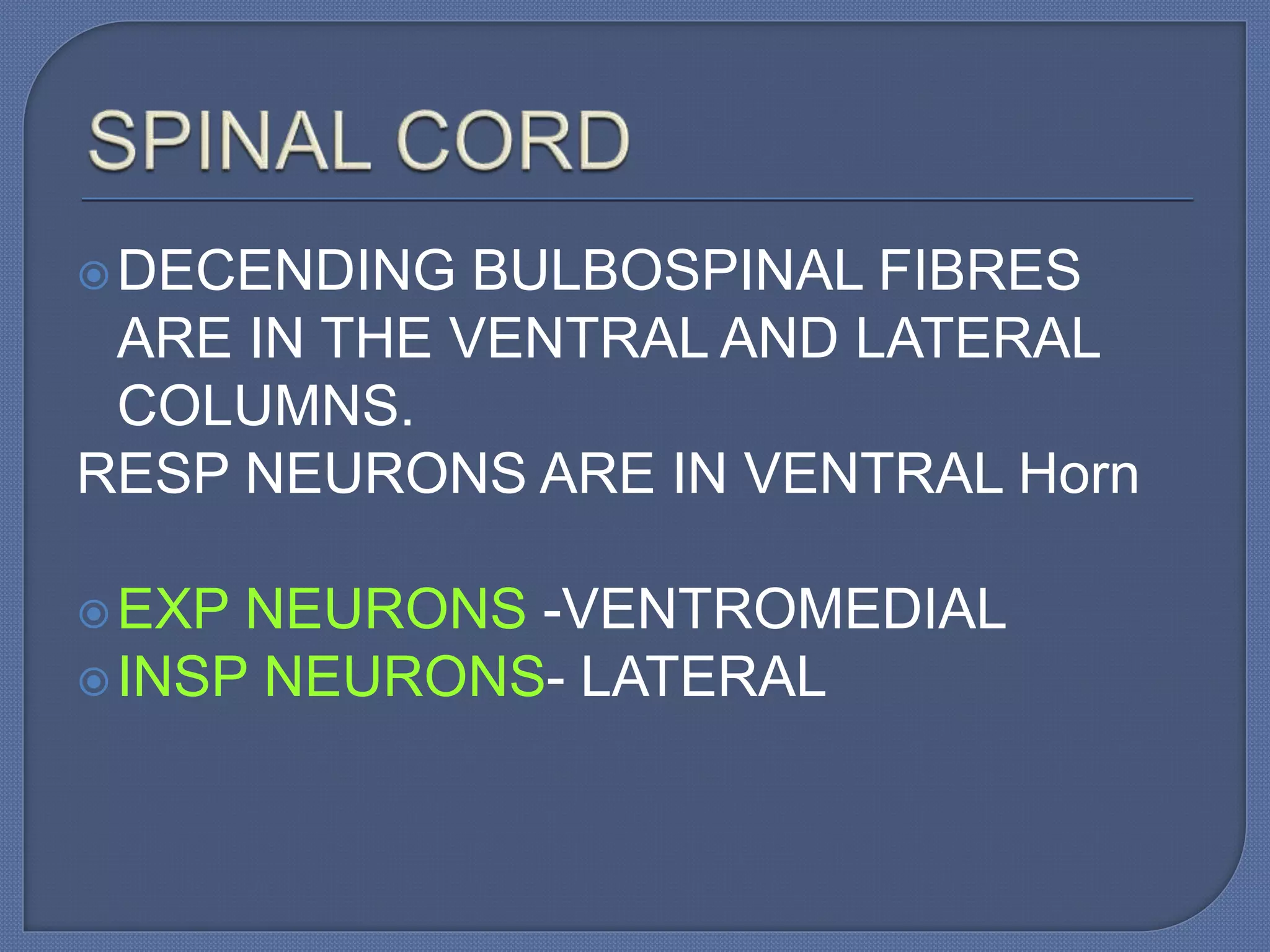 DECENDING BULBOSPINAL FIBRES
ARE IN THE VENTRAL AND LATERAL
COLUMNS.
RESP NEURONS ARE IN VENTRAL Horn
EXP NEURONS -VENTROMEDIAL
INSP NEURONS- LATERAL
 