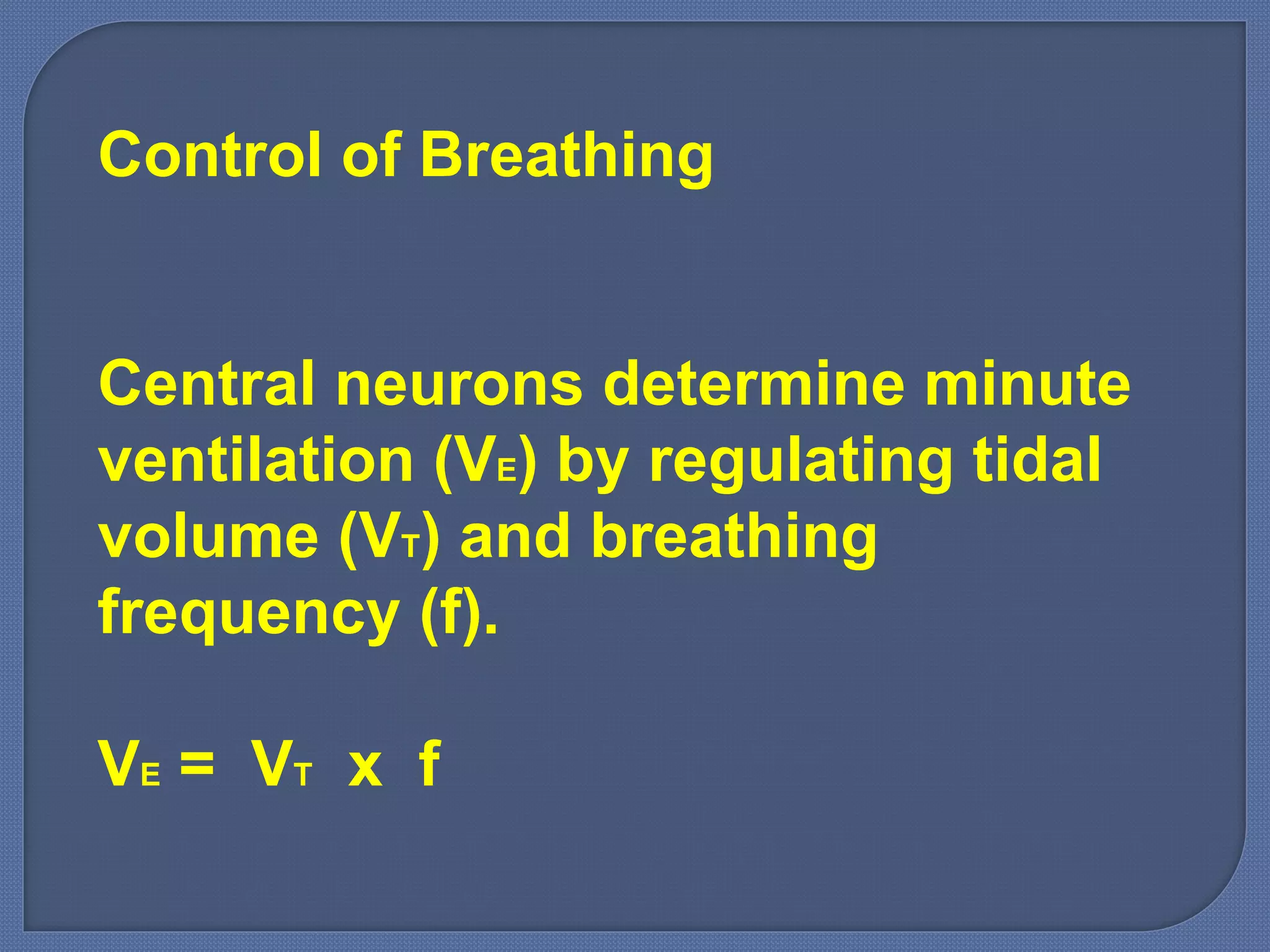 Control of Breathing
Central neurons determine minute
ventilation (VE) by regulating tidal
volume (VT) and breathing
frequency (f).
VE = VT x f
 
