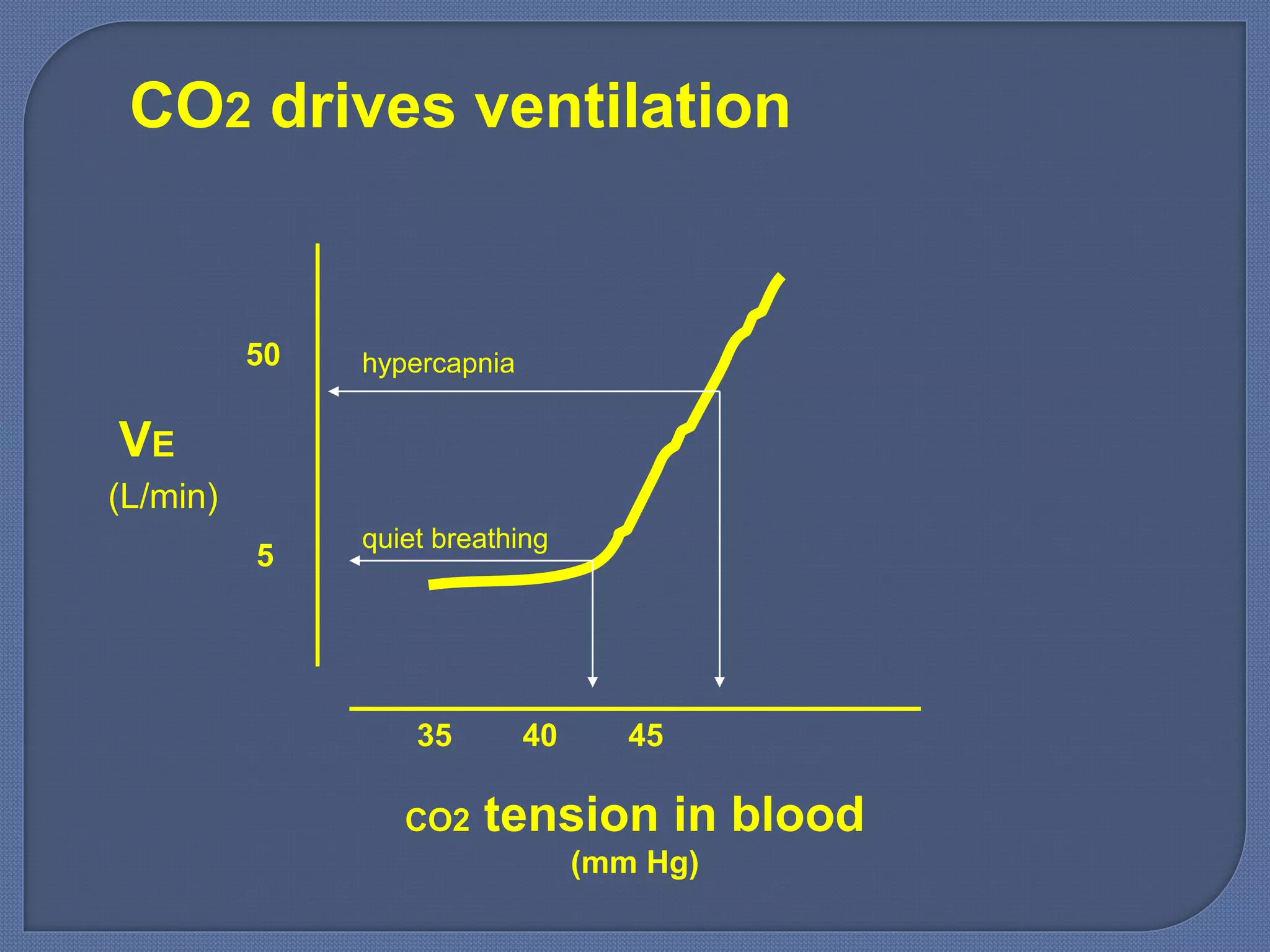 CO2 tension in blood
(mm Hg)
35 40 45
VE
5
50
(L/min)
quiet breathing
hypercapnia
CO2 drives ventilation
 