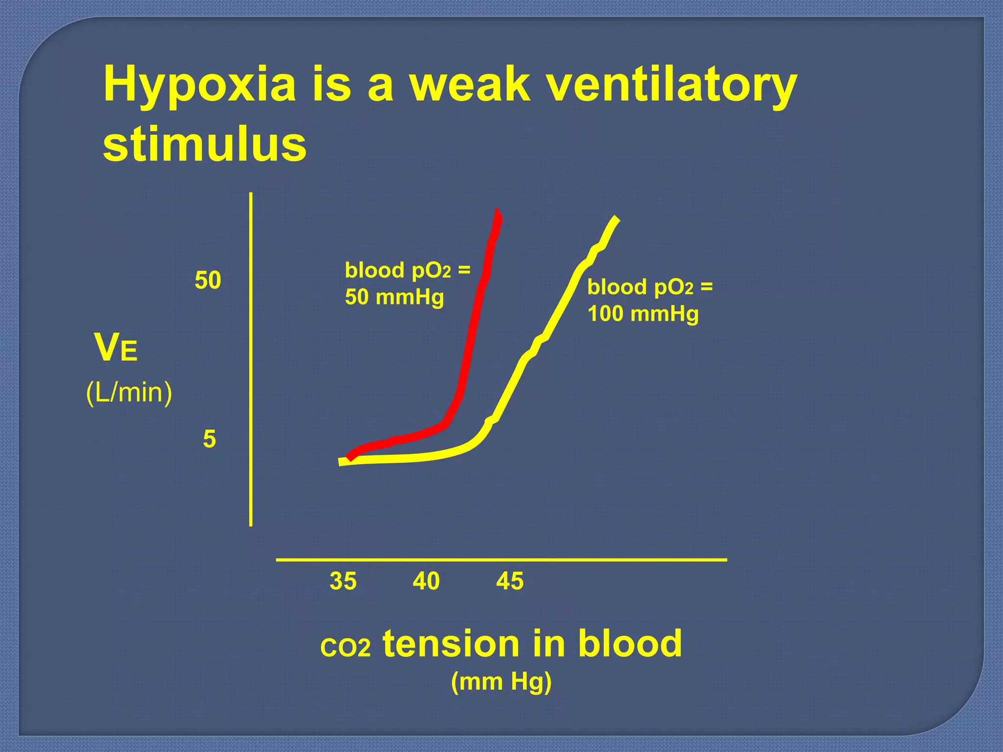 CO2 tension in blood
(mm Hg)
35 40 45
VE
5
50
(L/min)
Hypoxia is a weak ventilatory
stimulus
blood pO2 =
100 mmHg
blood pO2 =
50 mmHg
 