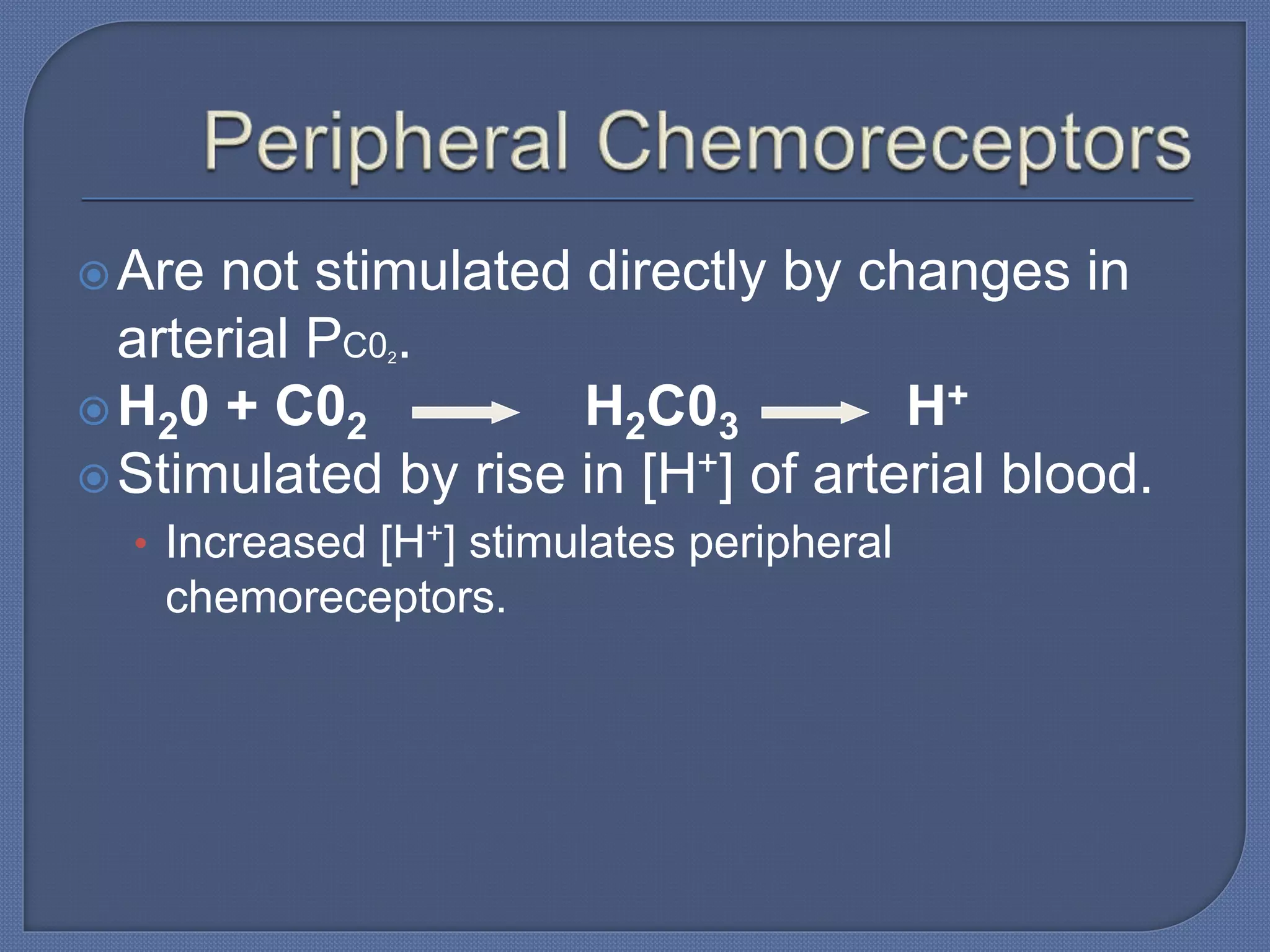 Are not stimulated directly by changes in
arterial PC02.
H20 + C02 H2C03 H+
Stimulated by rise in [H+] of arterial blood.
• Increased [H+] stimulates peripheral
chemoreceptors.
 