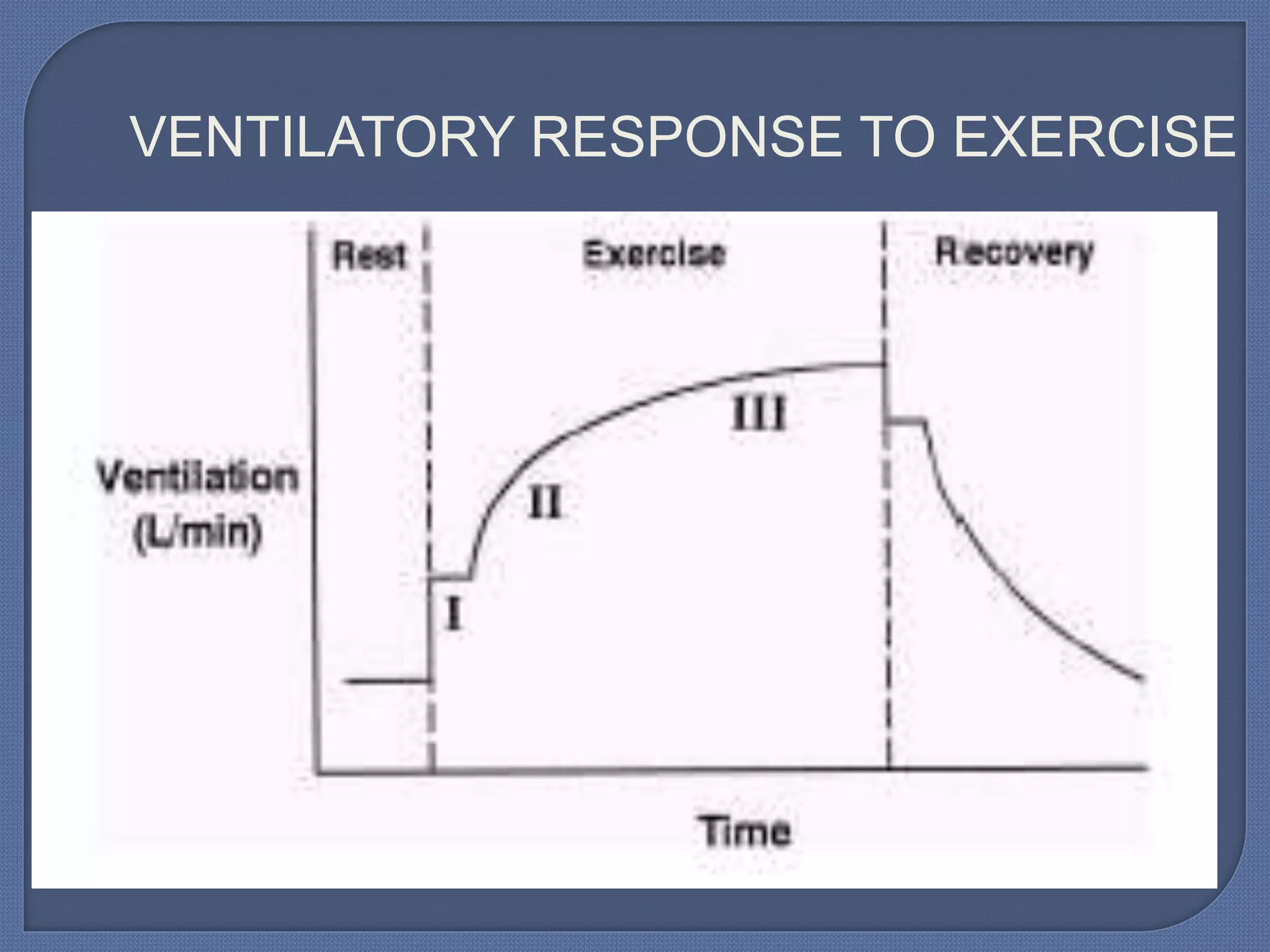 VENTILATORY RESPONSE TO EXERCISE
 