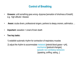 Control of Breathing

•   Unaware: until something goes wrong -dyspnea [sensation of shortness of breath]
    e.g. high altitude / disease

•   Aware: scuba divers, professional singers, partners to sleepy snorers, asthmatics …


•   Important: cessation = onset of brain death

•   Two key tasks:

    1) establish automatic rhythm for contraction of respiratory muscles
    2) adjust the rhythm to accommodate metabolic [arterial blood gases + pH],
                                       mechanical [postural changes],
                                       episodic non-ventilatory behaviors
                                        [speaking, sniffing, eating,..]
 