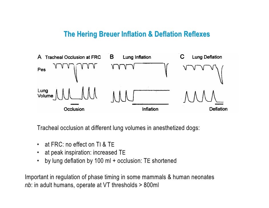 calculating personal breathing zone air sampling