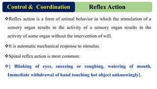CONTROL AND CO-ORDINATION PPT-NEW.pdfyo wassup | PDF