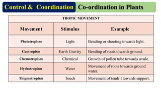 CONTROL AND CO-ORDINATION PPT-NEW.pdfyo wassup | PDF