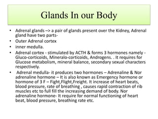 Glands In our Body
• Adrenal glands –> a pair of glands present over the Kidney, Adrenal
gland have two parts-
• Outer Adrenal cortex
• inner medulla.
• Adrenal cortex - stimulated by ACTH & forms 3 hormones namely -
Gluco-corticoids, Mineralo-corticoids, Androgens. . It requires for
Glucose metabolism, mineral balance, secondary sexual characters
respectively.
• Adrenal medulla- it produces two hormones – Adrenaline & Nor
adrenaline hormone – It is also known as Emergency hormone or
hormone of 3 F – Fight,Flight,Freight. It increase of heart beats,
blood pressure, rate of breathing , causes rapid contraction of rib
muscles etc to full fill the increasing demand of body. Nor
adrenaline hormone- It require for normal functioning of heart
beat, blood pressure, breathing rate etc.
 