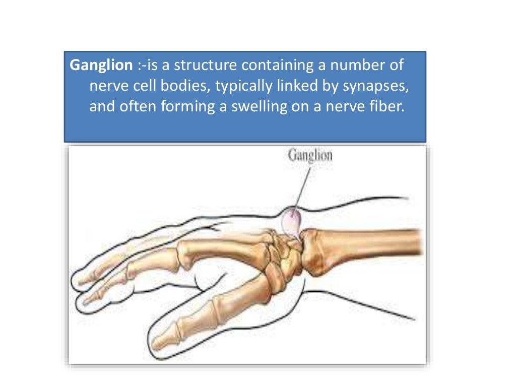 Control and coordination