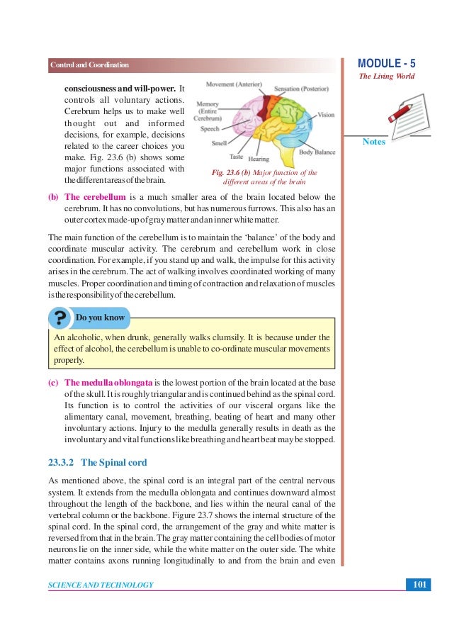 Control and coordination