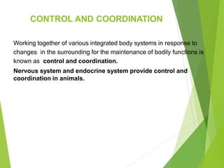 CONTROL AND COORDINATION
Working together of various integrated body systems in response to
changes in the surrounding for the maintenance of bodily functions is
known as control and coordination.
Nervous system and endocrine system provide control and
coordination in animals.
 