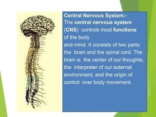 Central Nervous System:-
The central nervous system
(CNS) controls most functions
of the body
and mind. It consists of two parts:
the brain and the spinal cord. The
brain is the center of our thoughts,
the interpreter of our external
environment, and the origin of
control over body movement.
 