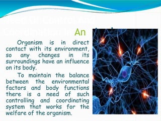 Need Of Control And
Coordination In An imals:
Organism is in direct
contact with its environment,
so any changes in its
surroundings have an influence
on its body.
To maintain the balance
between the environmental
factors and body functions
there is a need of such
controlling and coordinating
system that works for the
welfare of the organism.
 