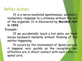 Reflex Action:
It is a nerve mediated spontaneous, automatic
involuntary response to a stimulus without the will
of the organism. It is discovered by Marshall Hall
in 1833.
Example:-
If we accidentally touch a hot plate our hand
moves backward instantly without thinking of the
matter happening.
It occurs by the involvement of Spinal cord so
it happens very quickly as the receptors and
effectors are in direct contact with each other in
spinal cord.
 