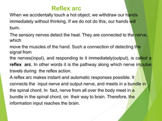 Reflex arc
When we accidentally touch a hot object, we withdraw our hands
immediately without thinking. If we do not do this, our hands will
burn.
The sensory nerves detect the heat. They are connected to the nerve,
which
move the muscles of the hand. Such a connection of detecting the
signal from
the nerves(input), and responding to it immediately(output), is called a
reflex arc. In other words it is the pathway along which nerve impulse
travels during the reflex action.
A reflex arc makes instant and automatic responses possible. It
connects the input nerve and output nerve, and meets in a bundle in
the spinal chord. In fact, nerve from all over the body meet in a
bundle in the spinal chord, on their way to brain. Therefore, the
information input reaches the brain.
 