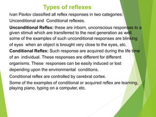 Types of reflexes
Ivan Pavlov classified all reflex responses in two categories:
Unconditional and Conditional reflexes.
Unconditional Reflex: these are inborn, unconscious responses to a
given stimuli which are transferred to the next generation as well.
some of the examples of such unconditional responses are blinking
of eyes when an object is brought very close to the eyes, etc.
Conditional Reflex: Such response are acquired during the life time
of an individual. These responses are different for different
organisms. These responses can be easily induced or lost
depending upon the environmental conditions.
Conditional reflex are controlled by cerebral cortex.
Some of the examples of conditional or acquired reflex are learning,
playing piano, typing on a computer, etc.
 