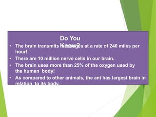 Do You
Know?
• The brain transmits messages at a rate of 240 miles per
hour!
• There are 10 million nerve cells in our brain.
• The brain uses more than 25% of the oxygen used by
the human body!
• As compared to other animals, the ant has largest brain in
relation to its body.
 