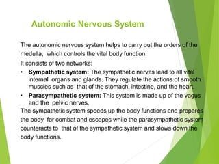 Autonomic Nervous System
The autonomic nervous system helps to carry out the orders of the
medulla, which controls the vital body function.
It consists of two networks:
• Sympathetic system: The sympathetic nerves lead to all vital
internal organs and glands. They regulate the actions of smooth
muscles such as that of the stomach, intestine, and the heart.
• Parasympathetic system: This system is made up of the vagus
and the pelvic nerves.
The sympathetic system speeds up the body functions and prepares
the body for combat and escapes while the parasympathetic system
counteracts to that of the sympathetic system and slows down the
body functions.
 